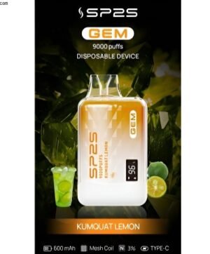 SP2S 9000 PUFFS電子煙