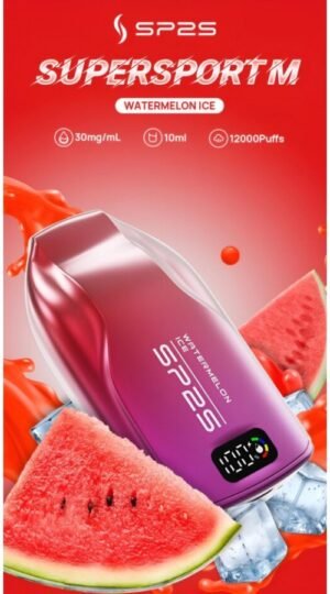 SP2S 9000口電子煙