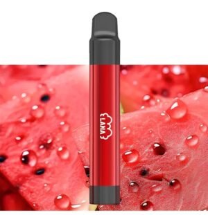 拋棄式電子煙 LANA 2000口