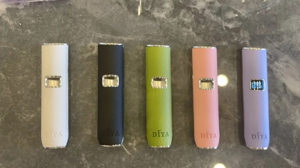 DIYA 叮啞 皮革 主機 台灣電子煙批發