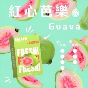 EMANI 煙彈 依馬尼霧化彈