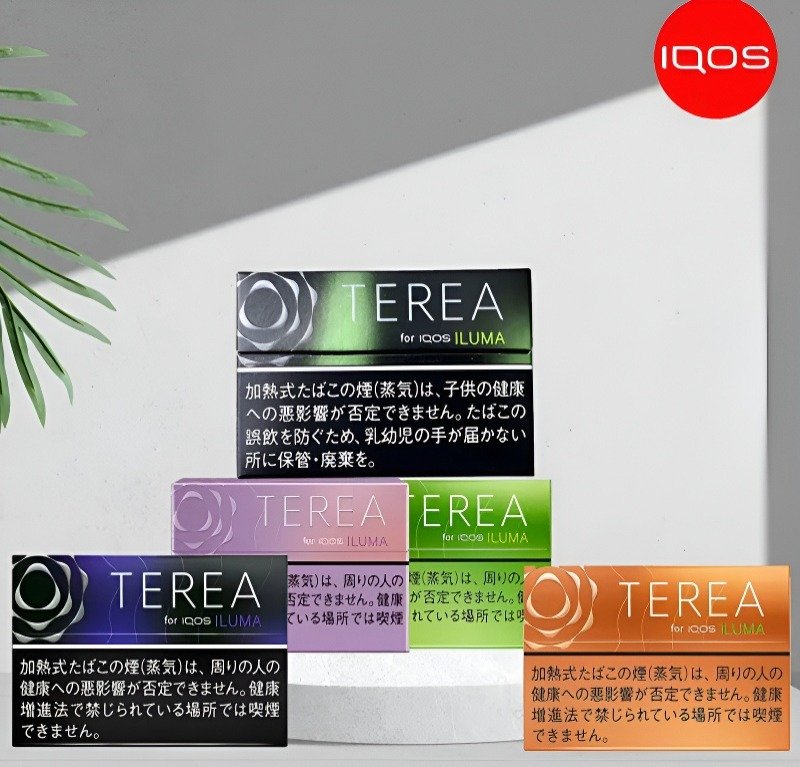IQOS ILUMA TEREA加熱菸
